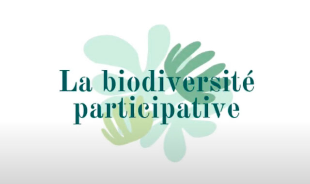 biodiversite-participative